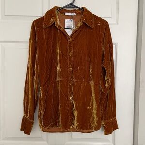 Mango Velvet Button Down Shirt in Rich Brown